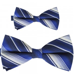 Set papion tata fiu, albastru, dungi albe, clasic 